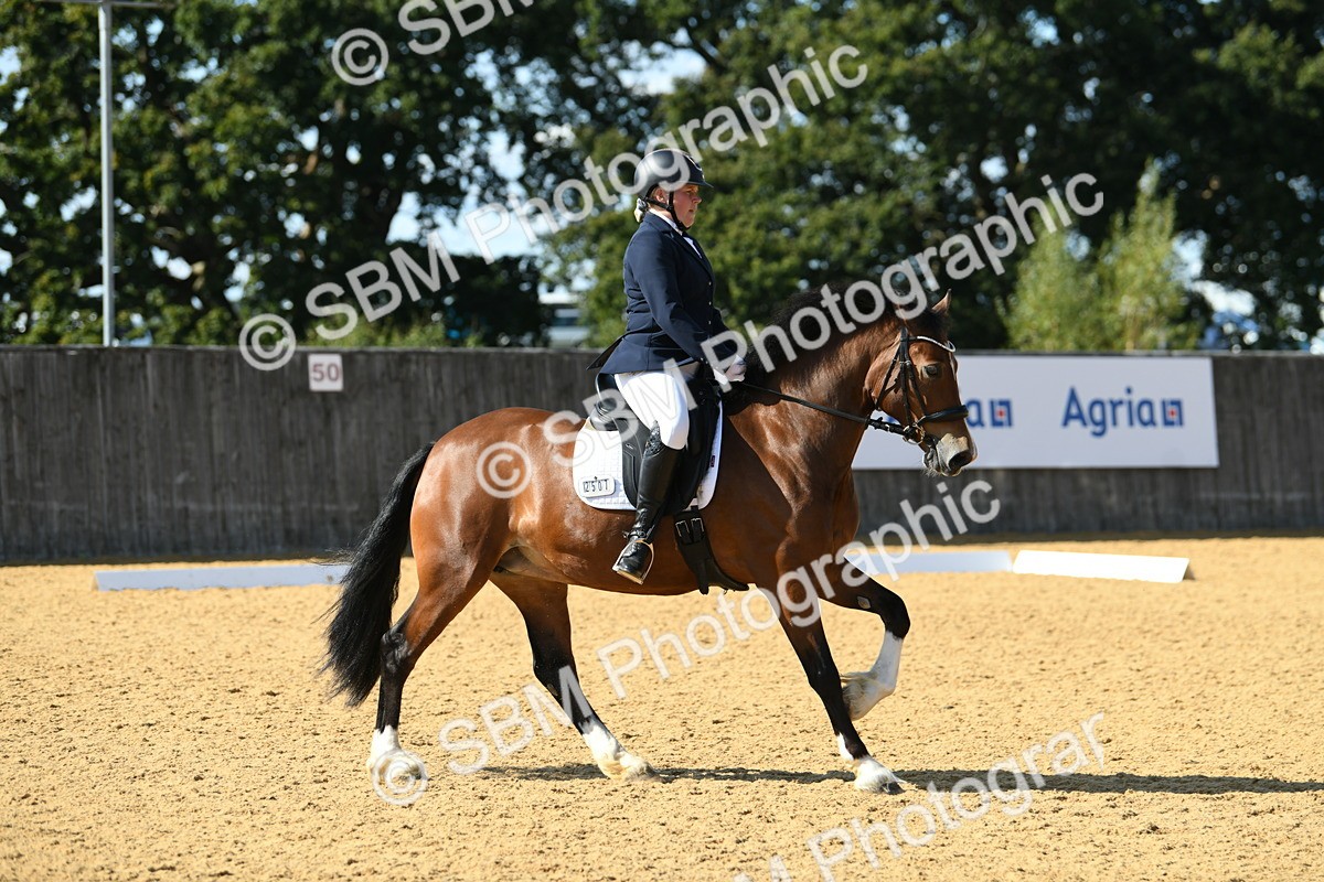 SBM_25039 - D13 - Grand Tour Championship - Prelim 12