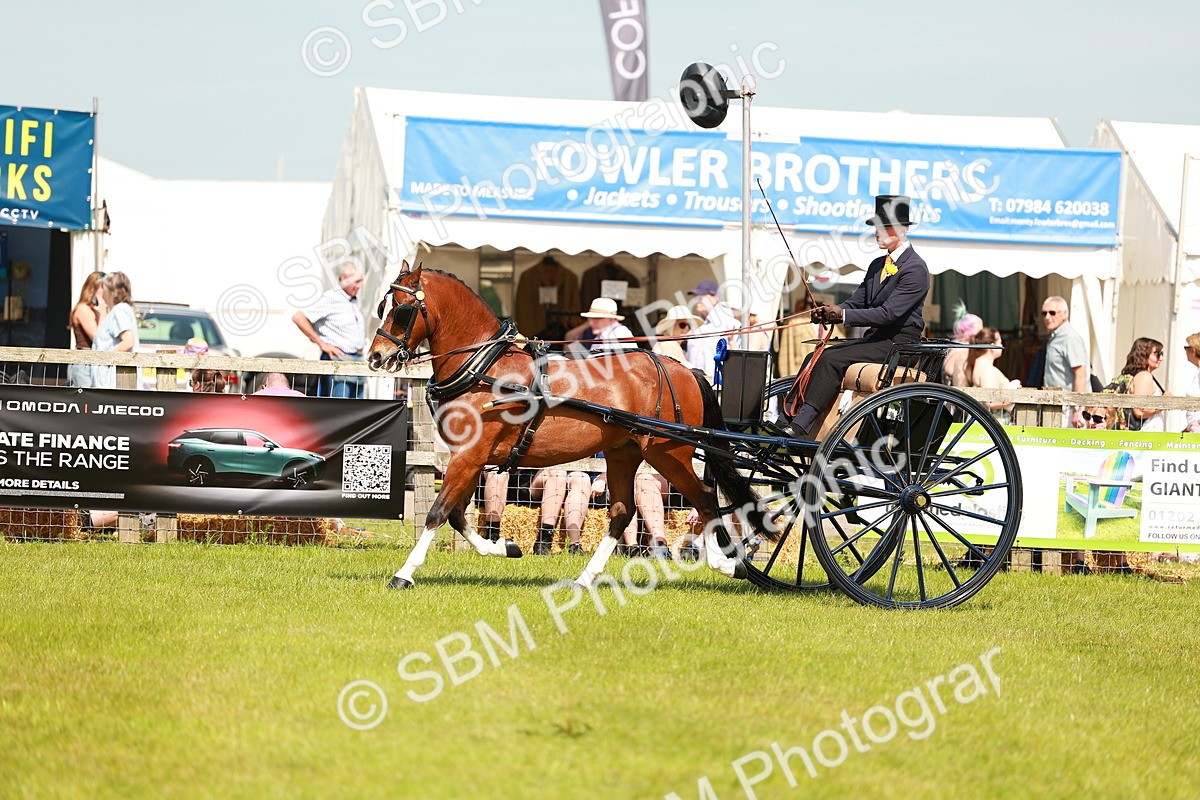 SBM_02876 - Class 2-4 - HOYS Private Driving