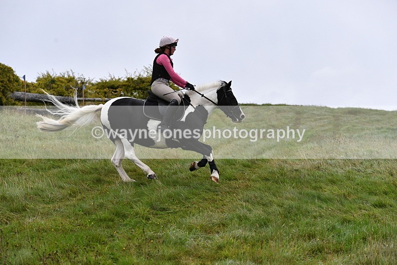 WJ5_5956 - Time 10:46 to 11:09