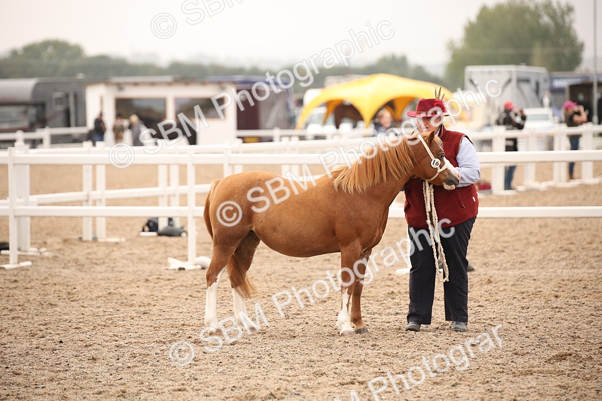 SBM_22123 - Class 707 - Ridden Groom-Helpers Class