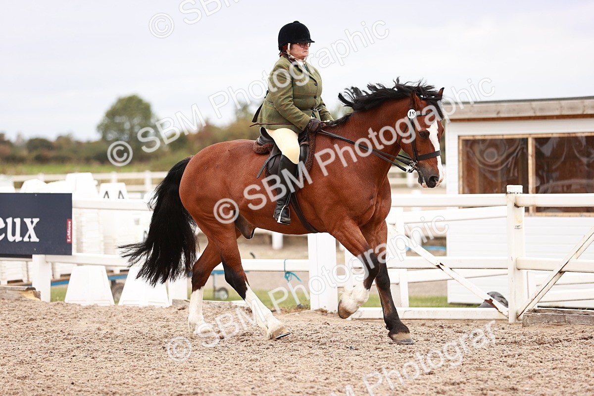 SBM_18953 - Class 422 - Ridden M&M