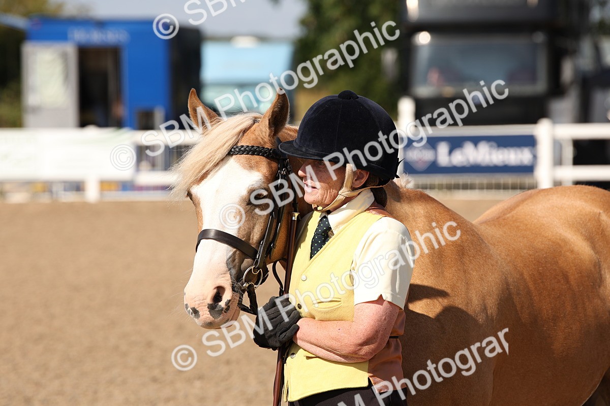 SBM_02820 - Class 16 IH M&M Wildcard