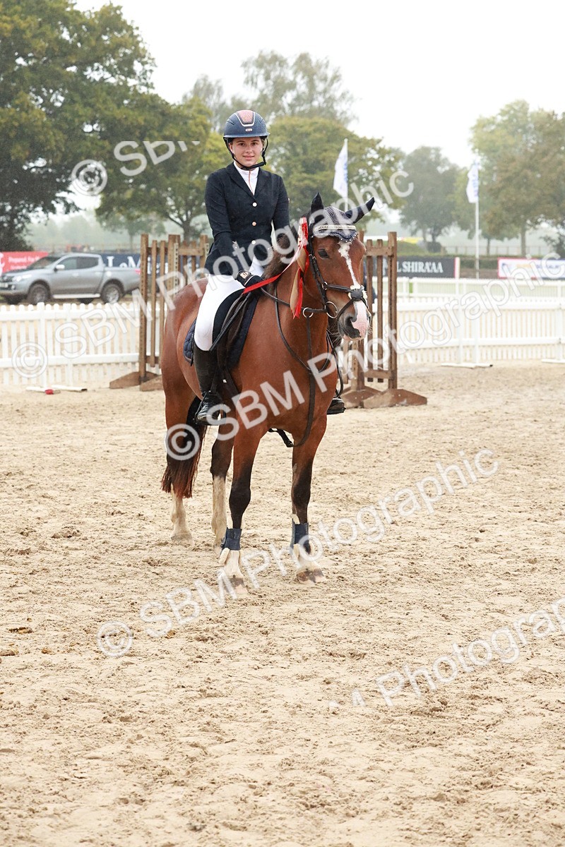 SBM_73643 - Supreme Championship Junior Pony 60cm & 65cm