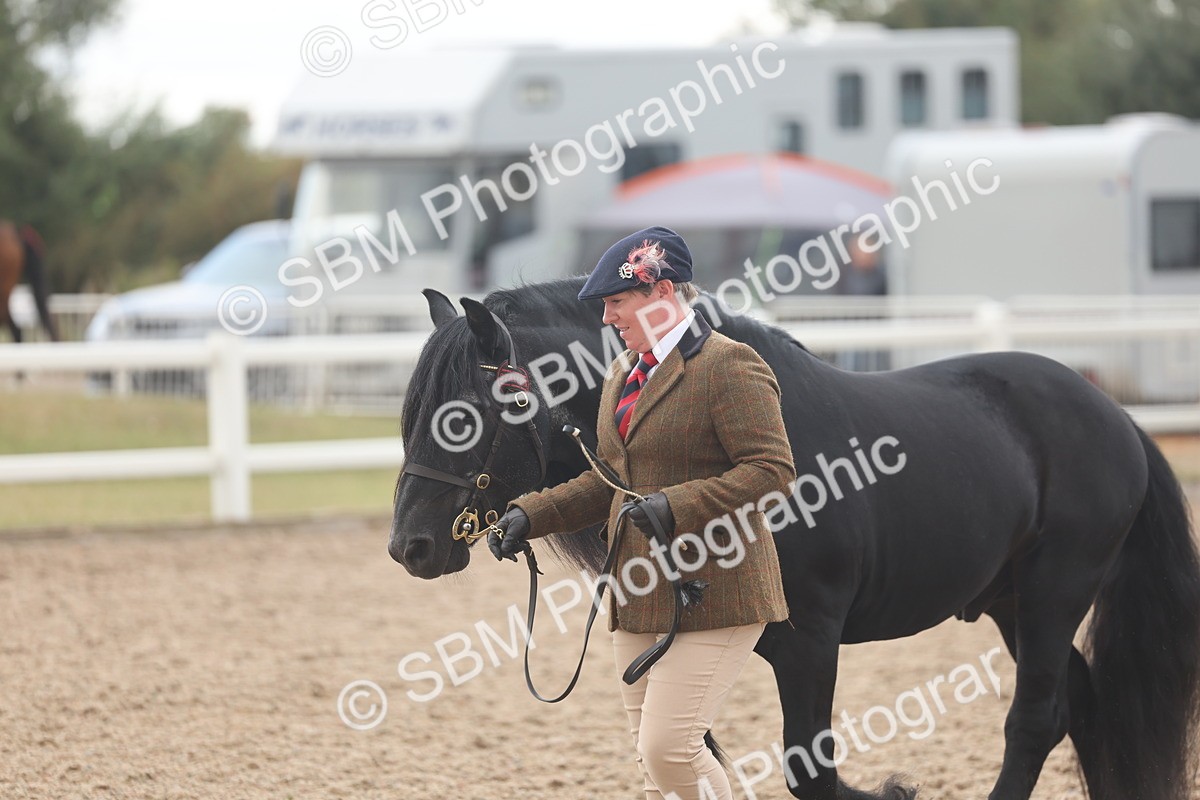 SBM_03289 - Class 16 - IH M&M Wildcard