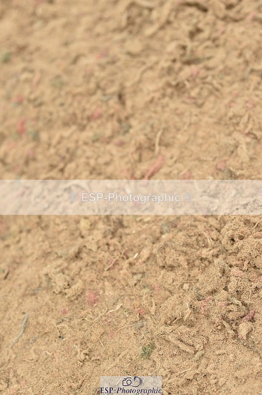 230611A-142542-06299 - Cls 36 Newcomers