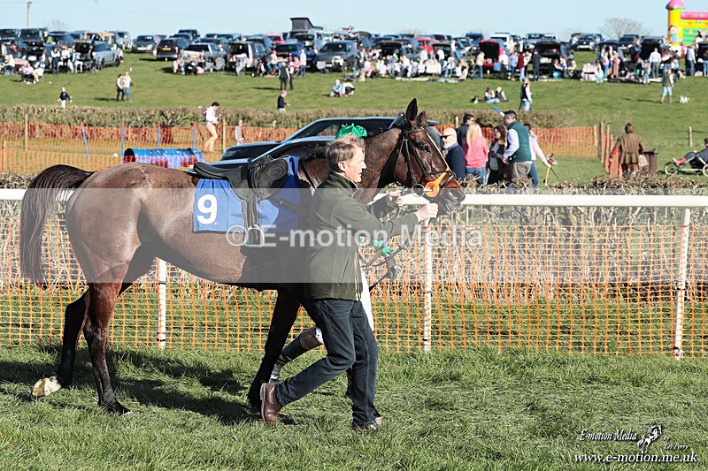PtP 210326 892 - VWH Cirencester Races 21/03/26