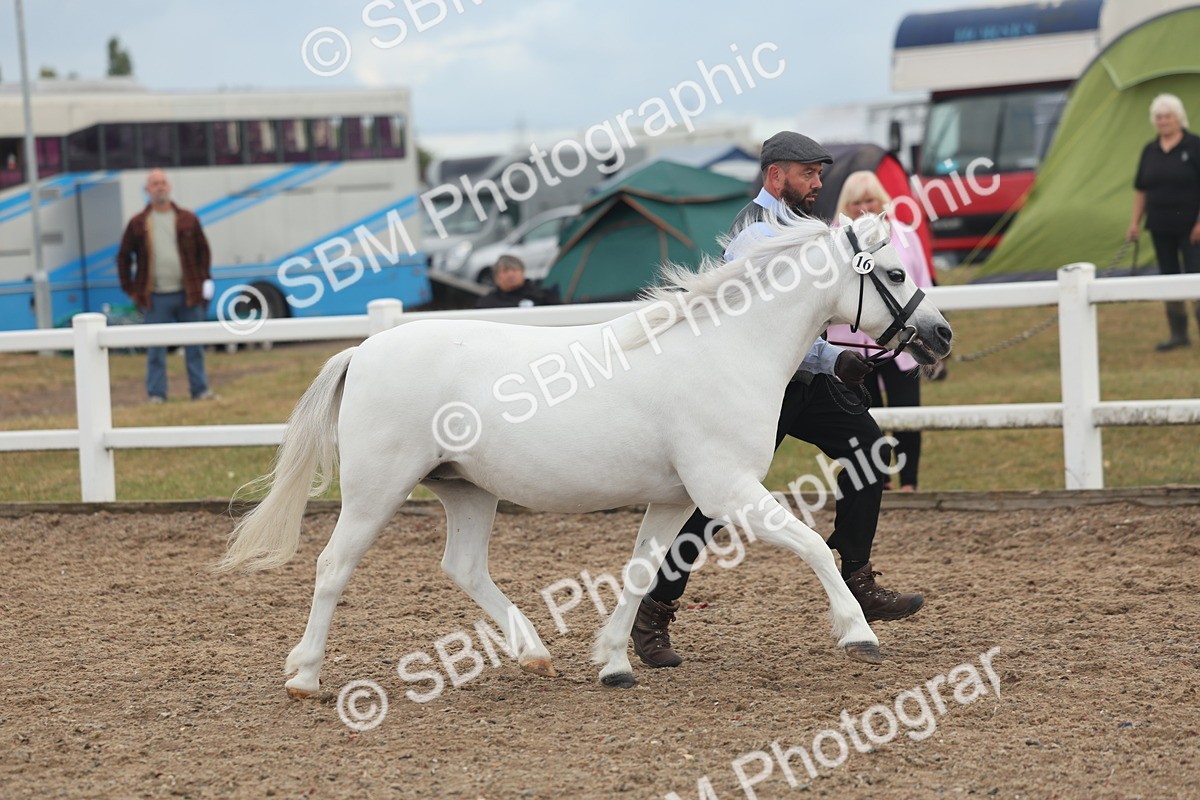 SBM_08457 - Class 29 - IH Veteran Pony