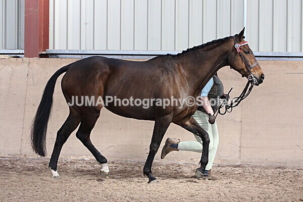 SIAL9772 - Indoor Classes