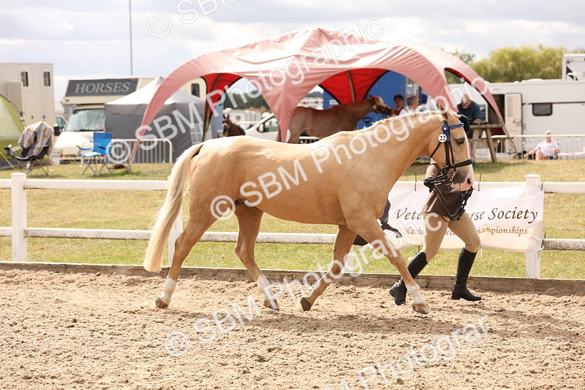 SBM_14660 - Class 208 - IH Veteran Horse