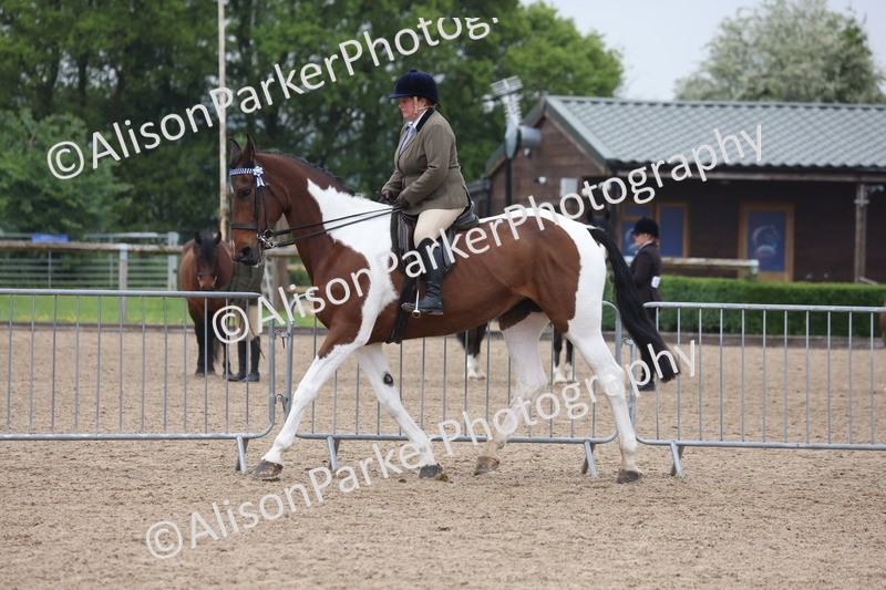 20260504-1043 - Class 14 - Cob and Hunter