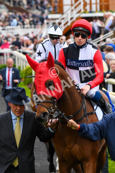 180523-Race 3-Croupier-0349 - Race 3 3.00pm Sky Bet Hambleton Handicap