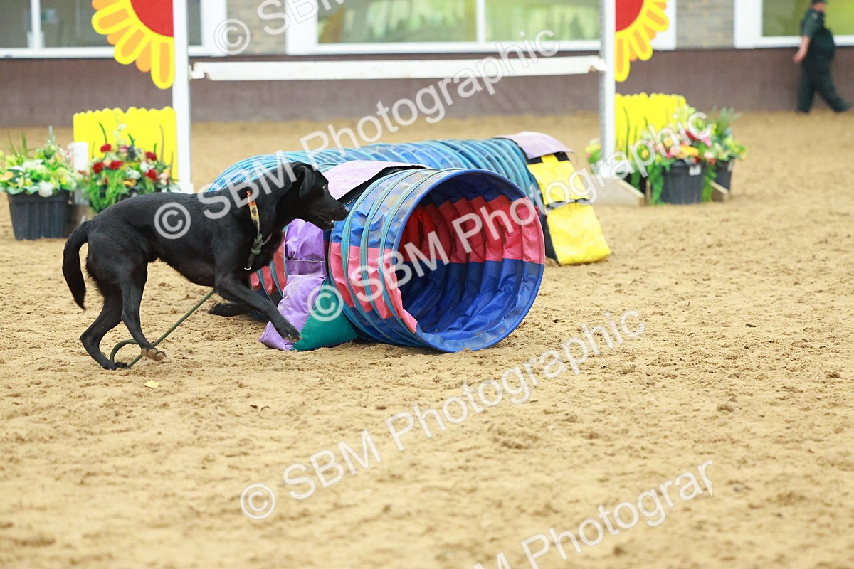 SBM_002568 - Class 3 - Horse & Hound (60cm)