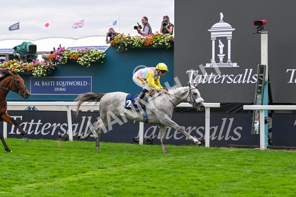 200825-Race 2-Gewan-1312 - Race 2 2.25pm Tattersalls Acomb Stakes