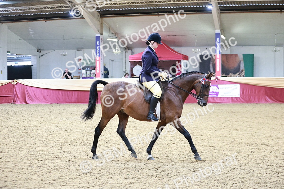 SBM_08266 - Class 11R - Regional Ridden Veteran