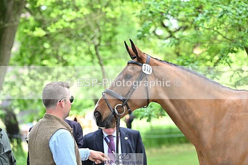 250521A-152543-00501 - B-312-Mark.Davidson-THE.BOSSMAN