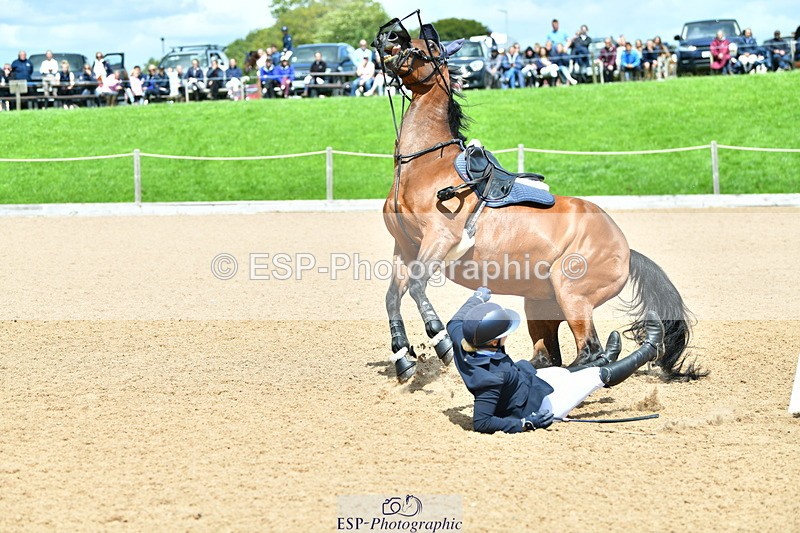 230729A-131210-06275 - Cls 14 NAF Bronze 2nd Jump Off and Pres