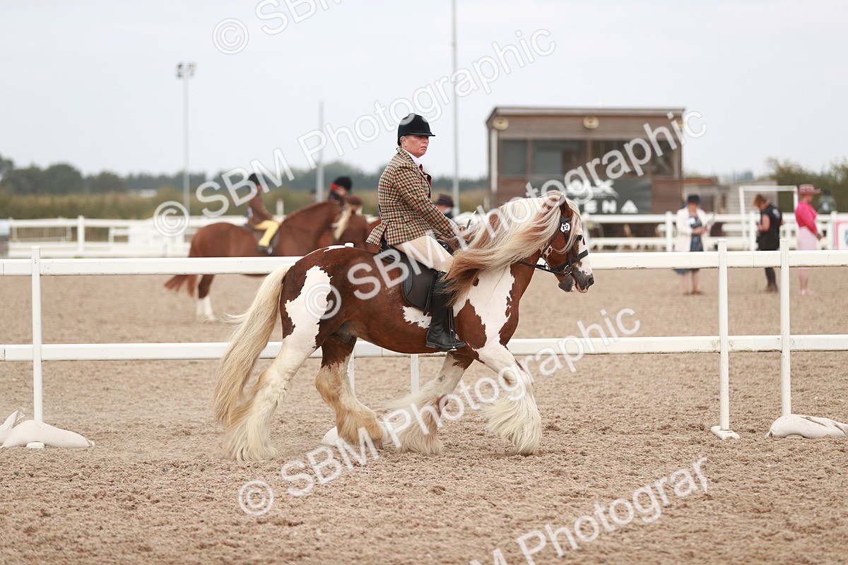 SBM_16596 - Class 214 Ridden Cob