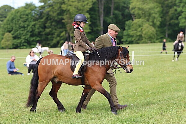 IMG_2307 - Working Hunter