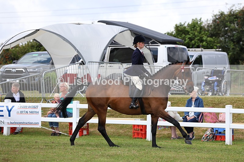 3E7A0537 - Rising Star Ridden Championship