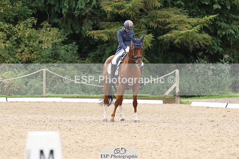 240810-140619-03438 - 110-Helen.Kitto-Da.Vinci.IV