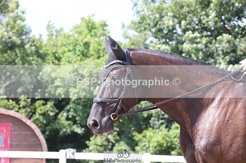 250620-150903-04654 - BD Cls 19 - FEI Inter I