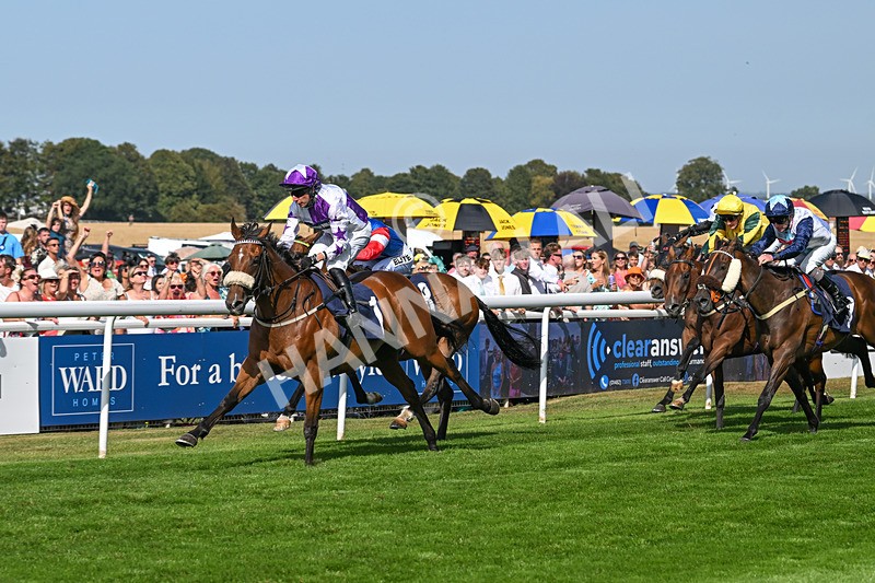 130825-Race 4-Dumfries-8540 - Race 4