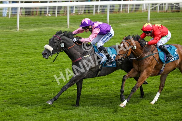 170523-Race 3-Azure Blue-6915 - Race 3 3.00pm 1895 Duke of York Clipper Logistics Stakes