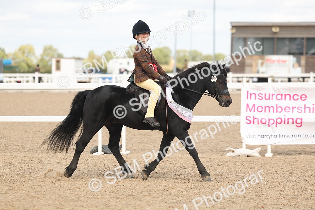 SBM_15943 - Class 310 - First Ridden Pony