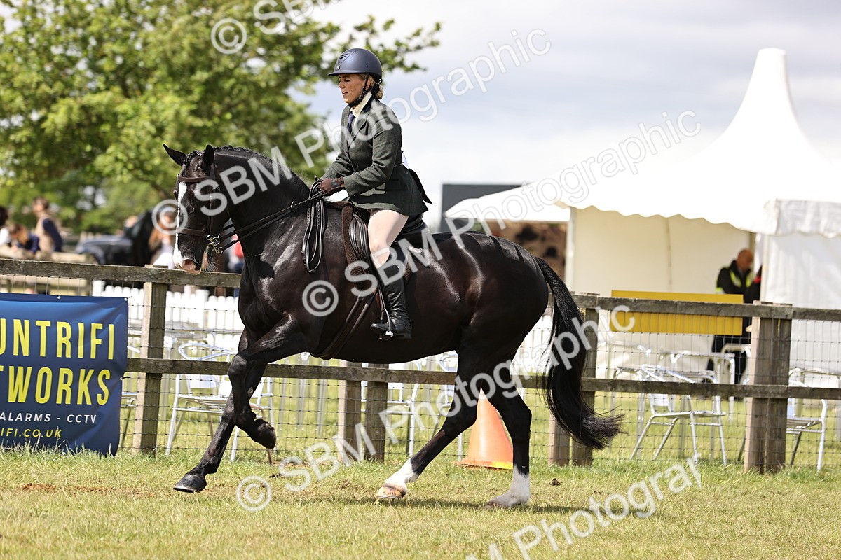 SBM_14552 - Class 88-89 - LIHS BSHA Rising Star of Ridden Hunter Type