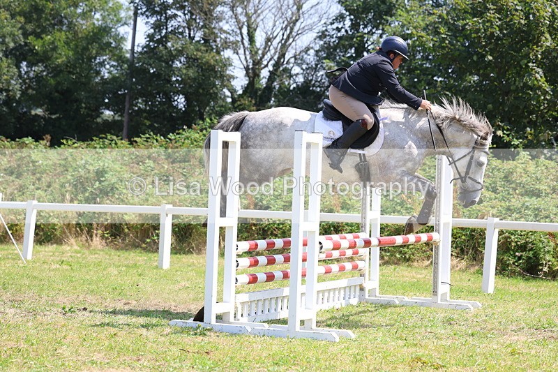 3E7A2915 - Class 7: Senior British Novice/90cm open