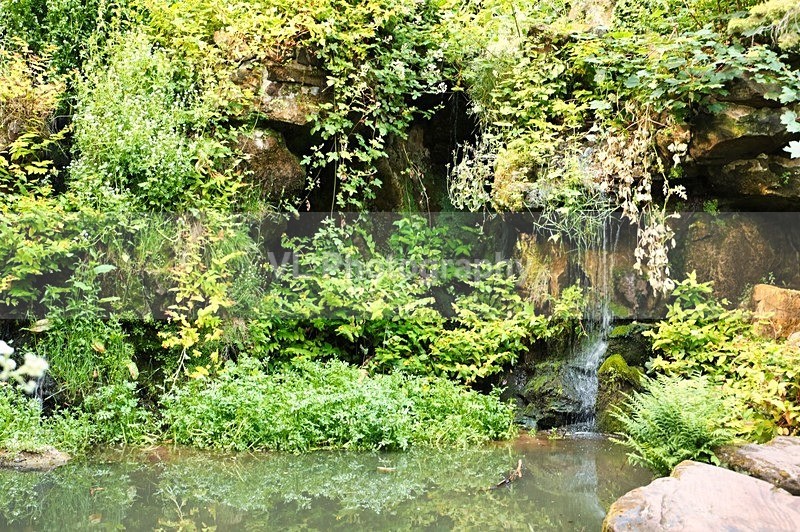 Fairy Glen - Liverpool