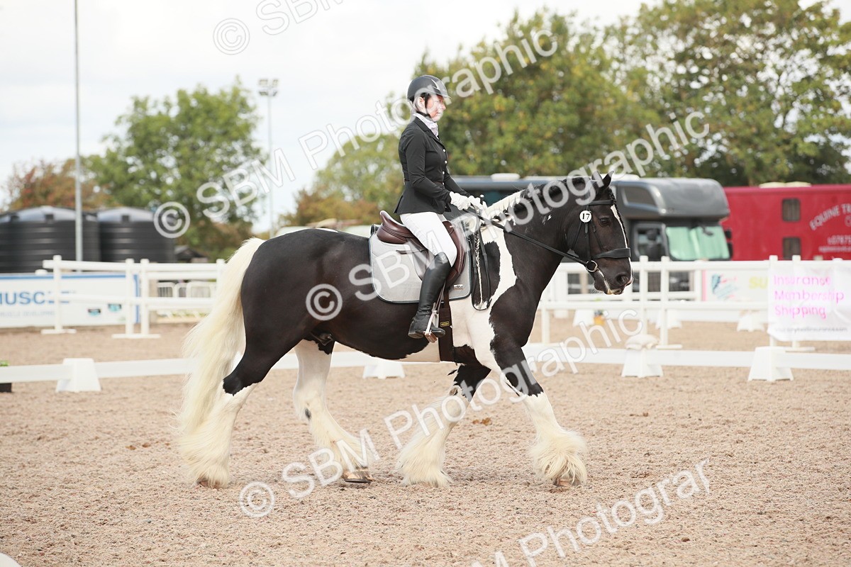 SBM_03812 - Class 31 - Prelim 1