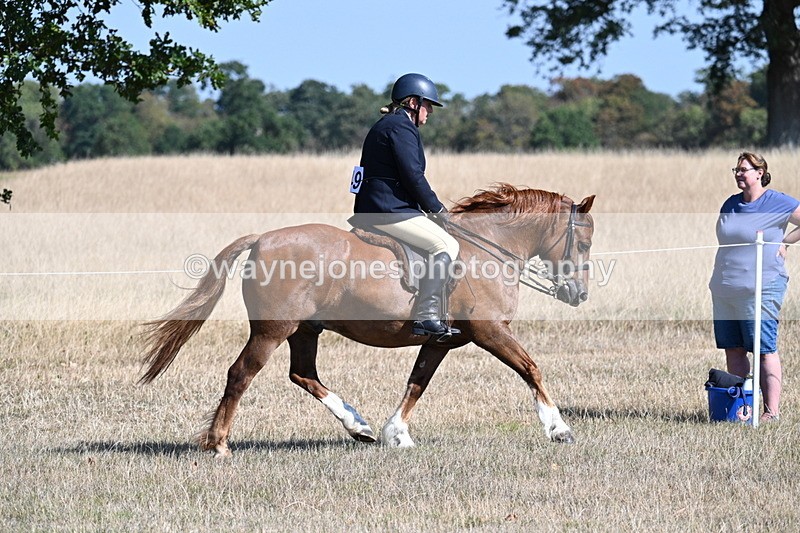 WJ7_3862 - Class 9 Mountain & Moorland Ridden