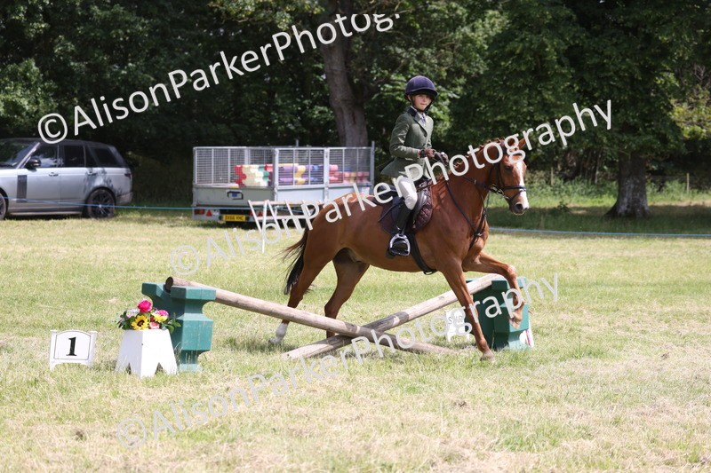 20260614-1848 - Class 21 - Novice Working Hunter Pony