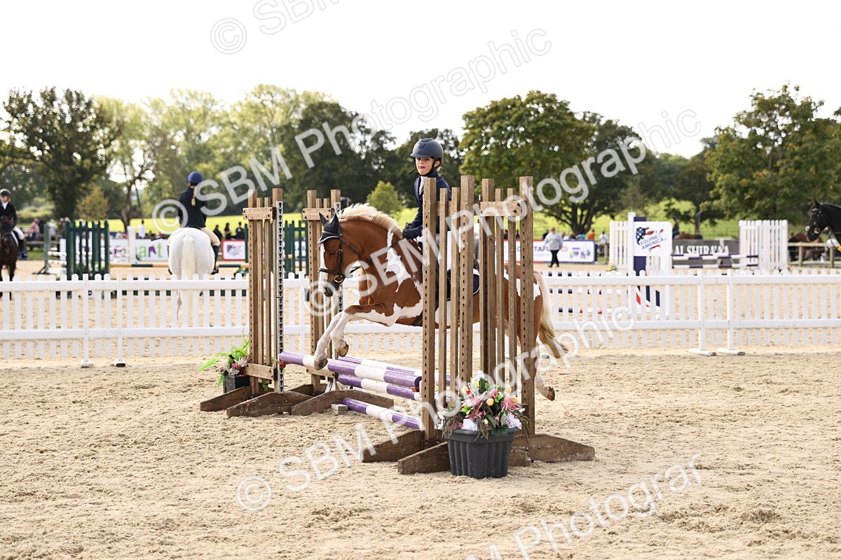 SBM_62138 - J12 - Junior Pony 55cm Championship