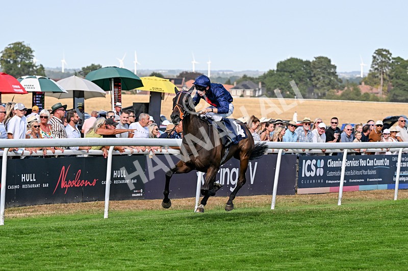 130826-Race 5-Wardlaw-9470 - Race 5 16.15pm Middle Distance Handicap