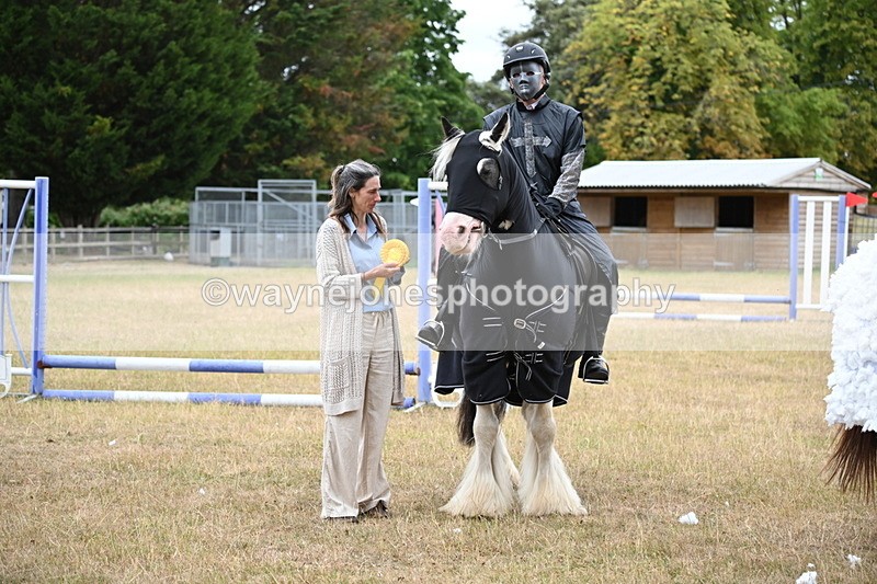 WJ6_9032 - Class 11 Fancy Dress