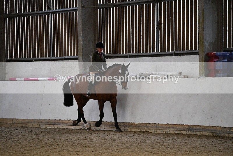 WJ5_8770 - Class 15 Ridden Show Horse