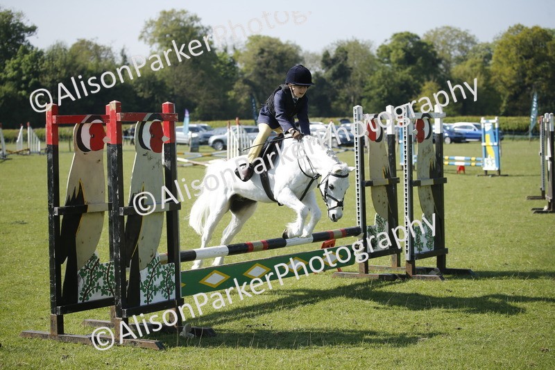 20250427-0408 - Class 12 - Rookie Jumping 40cm