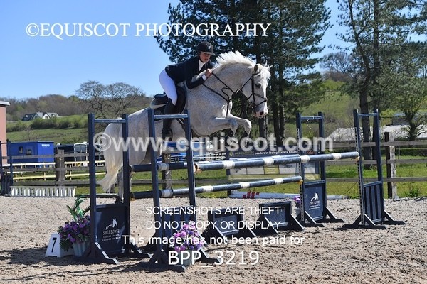 BPP_3219 - CLASS 15 Senior Foxhunter/ 1.20m Open