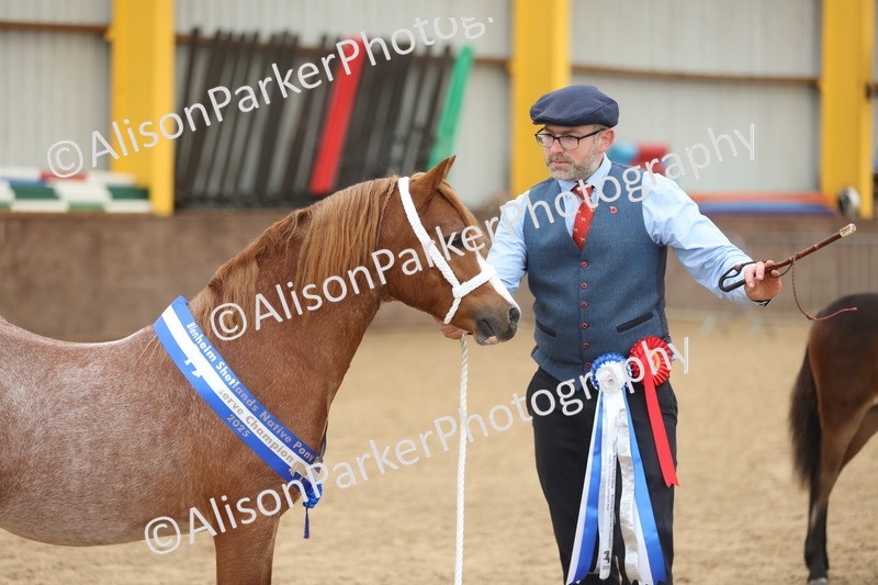 20251109-0706 - Championship