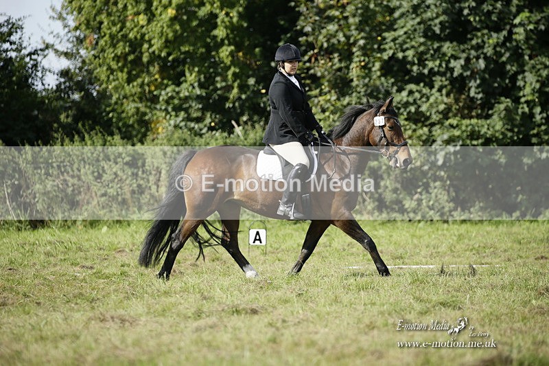 BVRC 120921 285 - Bourne Valley Riding Club UA Dressage & Show Jumping 12/09/21