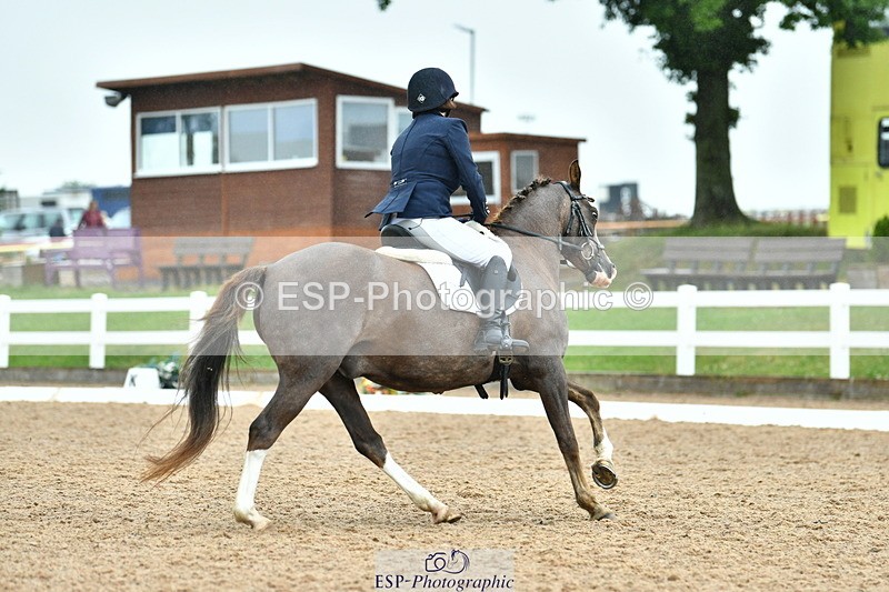 230630A-161034-03445 - Cls 9 Quest Novice 28