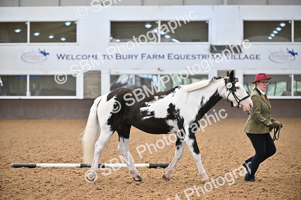 SBM_000059 - Class 1 - In Hand Cob