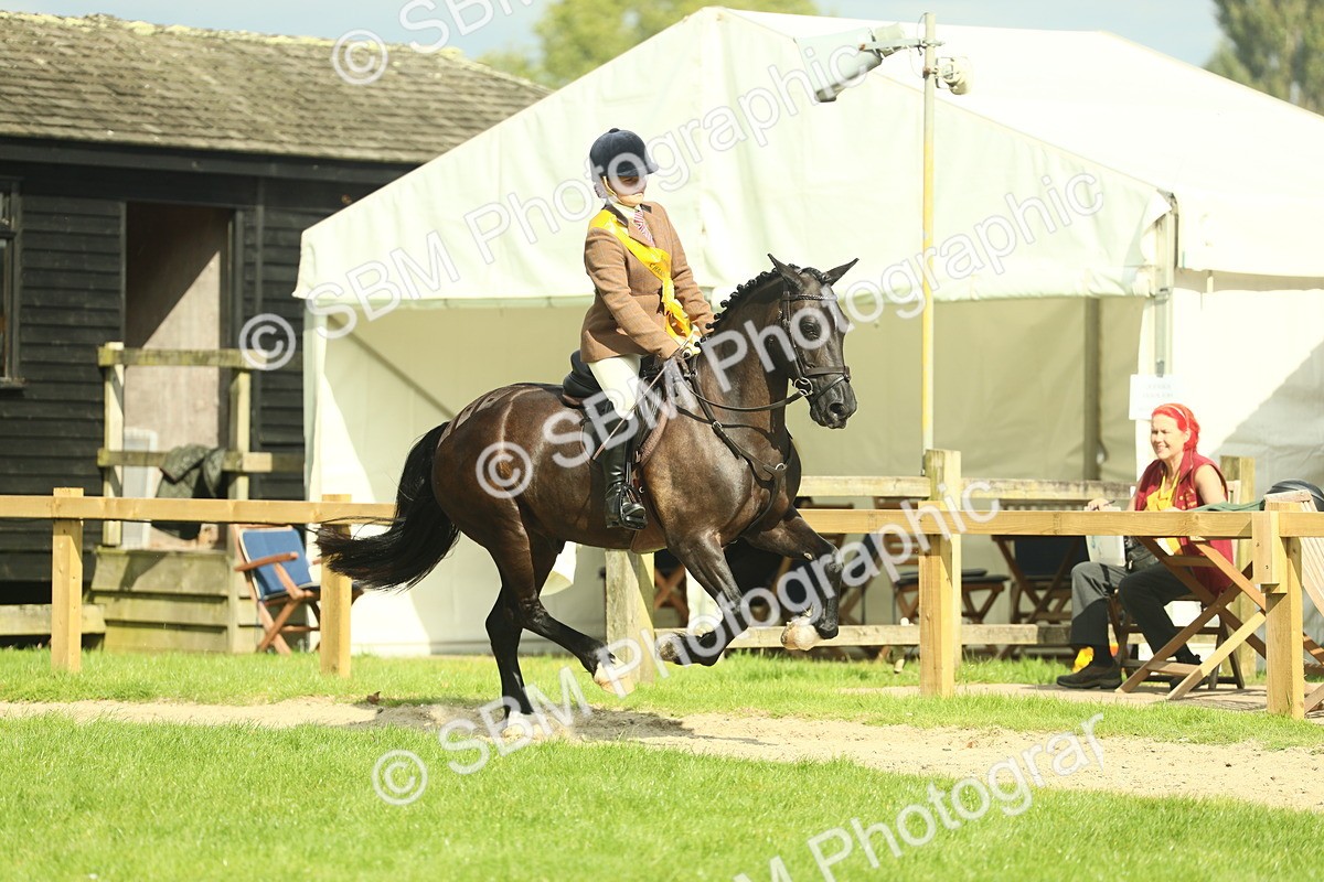 SBM_44917 - Working Hunter Pony Supreme Championship