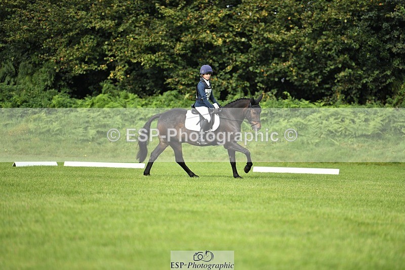 230826-092100-15087 - Sections C & D 9 to 10am