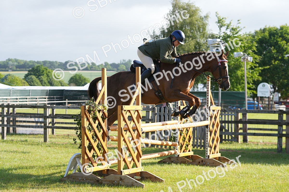 SBM_10518 - Class 97-98 - LIHS BSHA Rising Star Working Show Horse Hunter
