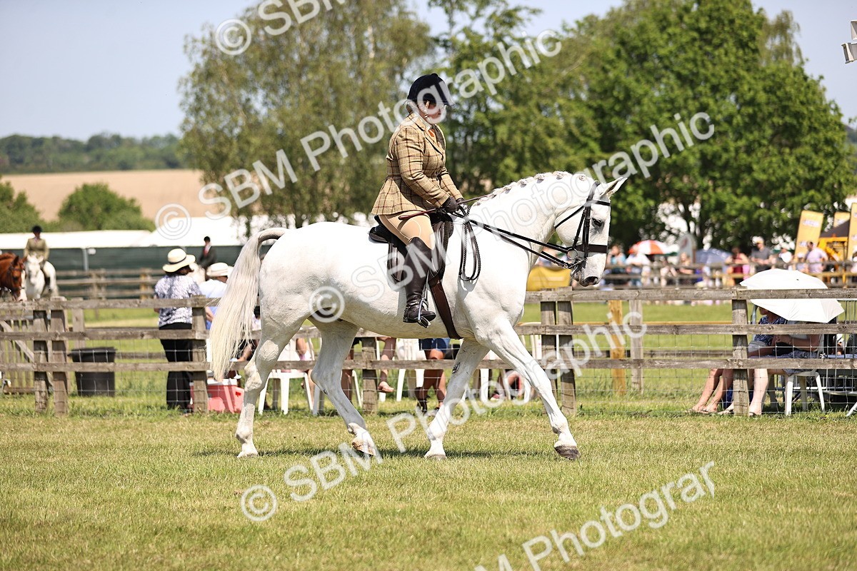 SBM_16086 - Class 79-80 - LIHS BSHA Rising Star Ridden Hunter