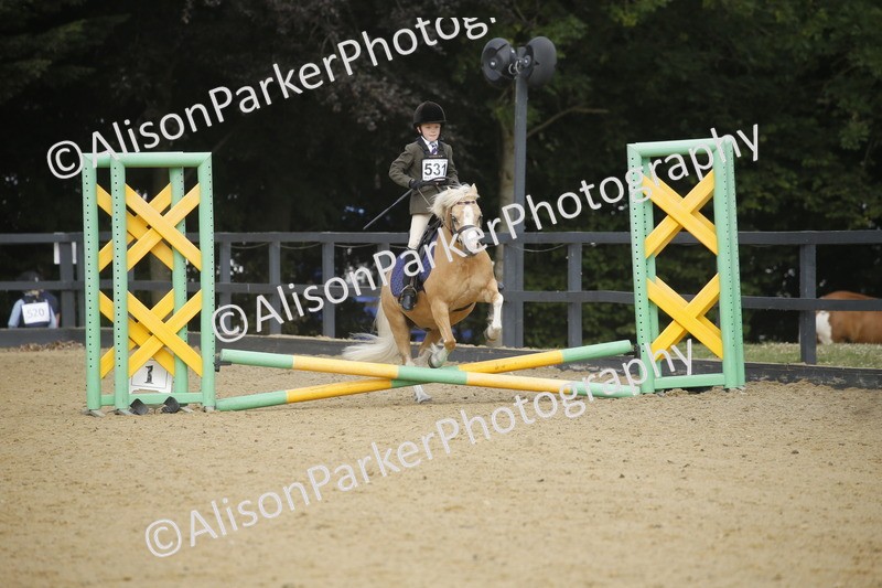 20250622-1530 - 40cm