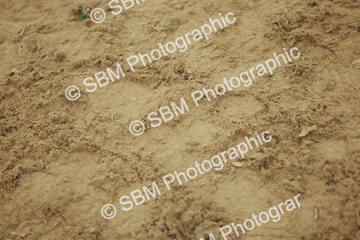 SBM_004980 - Class 6 - Chase Me Charlie